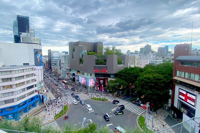 Full Day Tokyo Private Tour by Luxury Vehicle - Meiji Jingu Shrine and Takeshita Street: Calm Forest, Then Fashion Chaos