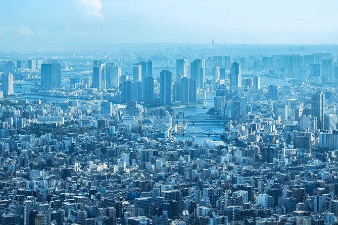 Full Day Tokyo Private Tour by Luxury Vehicle - Who Drives Matters: Stories, English, and Real Explanations
