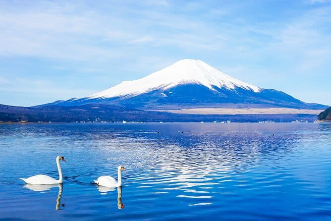 Full Day Tour at Mt. Fuji, Onsen, Lake Kawaguchi and Yamanaka - Key things I’d watch for