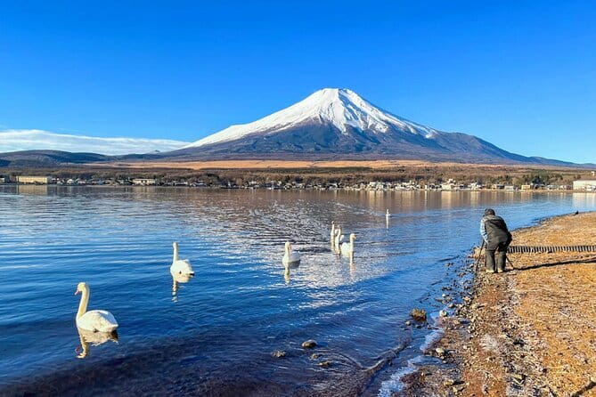 Full Day Tour at Mt. Fuji, Onsen, Lake Kawaguchi and Yamanaka - The guide’s role: why Damon, Mario, BC, and Laner keep showing up