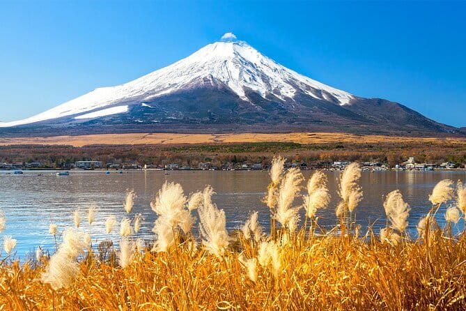 Full Day Tour at Mt. Fuji, Onsen, Lake Kawaguchi and Yamanaka - Arakurayama Sengen Park vs Mt. Fuji 5th Station (seasonal switch)