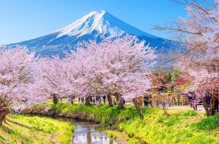 Full-Day Tour to the Picturesque Spots of Mount Fuji - Mount Fuji day trip from Tokyo: the big-picture flow