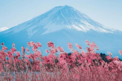 Full-Day Tour to the Picturesque Spots of Mount Fuji - Getting there: Tokyo Station vs Shinjuku departure and the 2-hour transfer