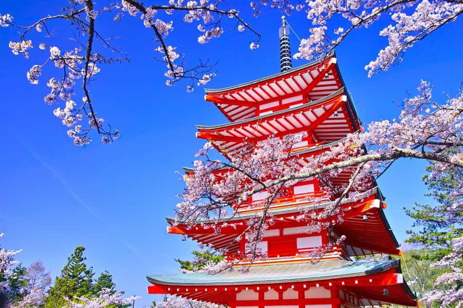 Full-Day Tour to the Picturesque Spots of Mount Fuji - Oshino Hakkai (UNESCO): cold spring water and the eight-spring walk
