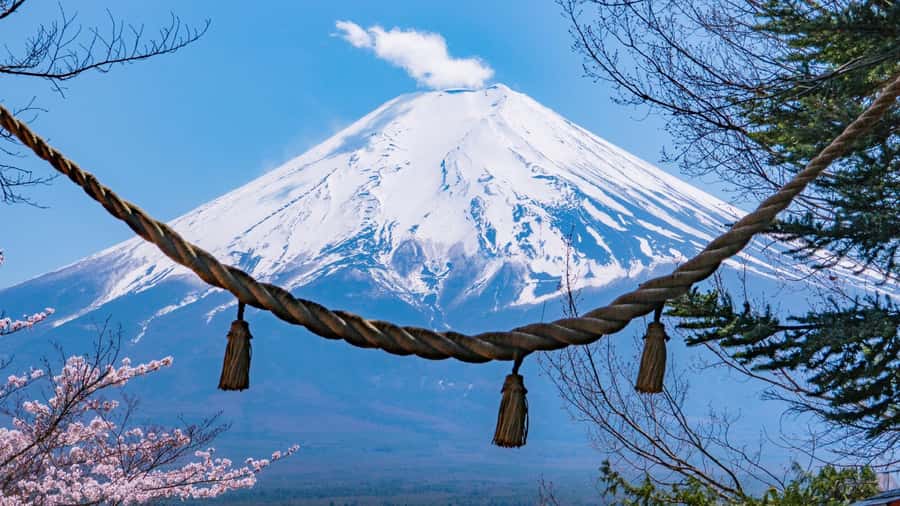 Full-Day Tour to the Picturesque Spots of Mount Fuji - Arakurayama Sengen Park: 400 steps, shrine energy, and Chureito Pagoda in the frame