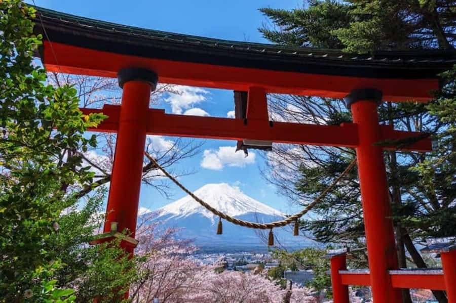 Full-Day Tour to the Picturesque Spots of Mount Fuji - Price and value: what $49 really buys you