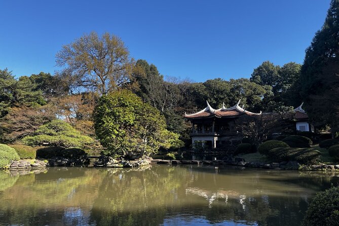Full Day Walking Tour in Shinjuku and Shibuya - A day that links Shinjuku and Shibuya without the chaos