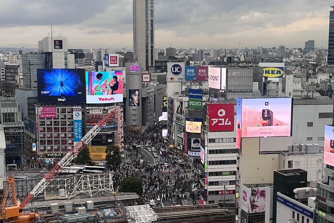 Full Day Walking Tour in Shinjuku and Shibuya - Golden Gai and Kabukicho around lunch time