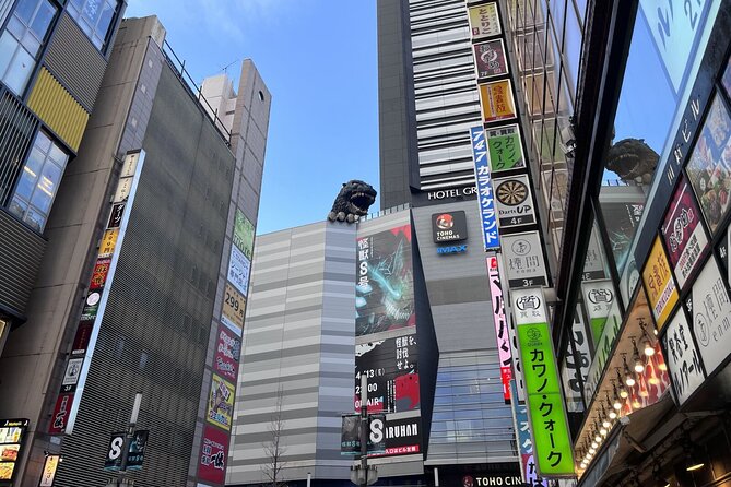 Full Day Walking Tour in Shinjuku and Shibuya - Meiji Jingu Shrine and Harajuku’s street flavor