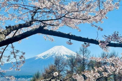 Full Guided Mt. Fuji & Hakone Attractive Private Day Tour - Price and Value: What $430 Covers (and What It Doesn’t)