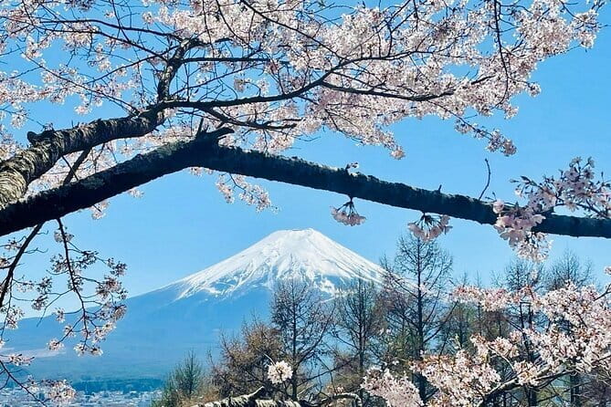 Full Guided Mt. Fuji & Hakone Attractive Private Day Tour - Price and Value: What $430 Covers (and What It Doesn’t)