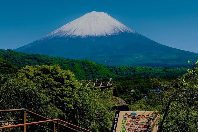 Full Guided Mt. Fuji & Shiba-Sakura Festival One Day Pvt.Tour - Key highlights worth planning around