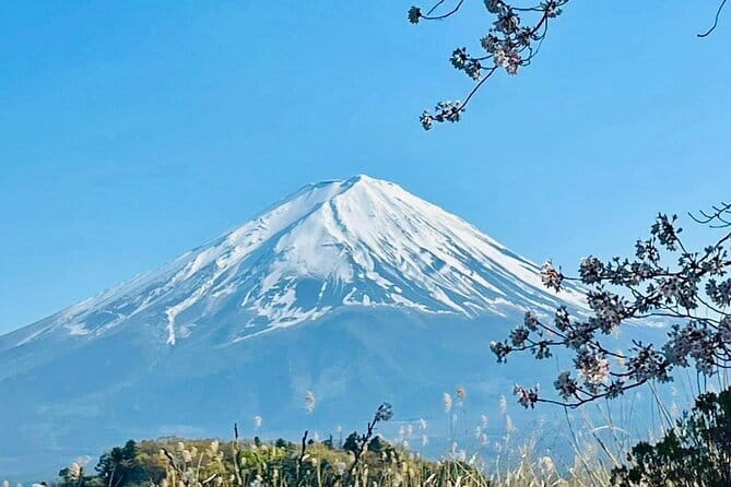 Full Guided Mt. Fuji & Shiba-Sakura Festival One Day Pvt.Tour - Oishi Park: flowers and a calmer break from the main viewpoints