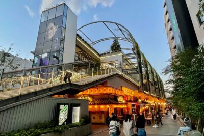 Get Unique Insights into Tokyo - Private Tour with local Guide - Starting point and finishing point: why Shibuya to Shinjuku is smart