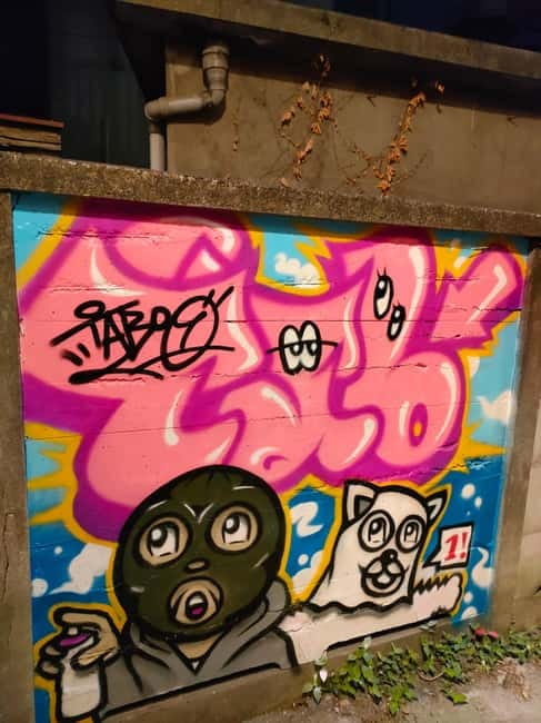 Graffiti in Tokyo Walking Tour: Shibuya and Harajuku - Who This Tour Fits Best (and Who Should Skip It)