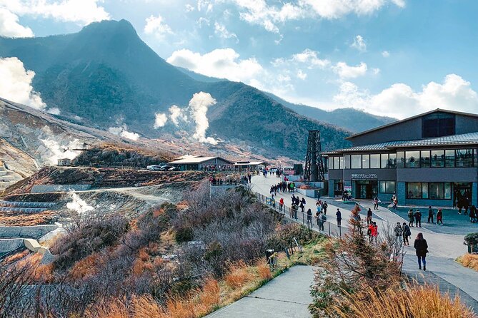 Hakone and Mt. Fuji Day Trip with Private Vehicle - Hakone Ropeway and Owakudani: Up Close With Volcanic Energy