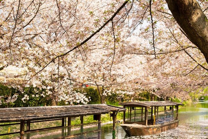 Hakone and Mt. Fuji Day Trip with Private Vehicle - Gotemba Premium Outlets: Worth It If You Came for Shopping