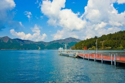 Hakone and Mt Fuji Private Custom Tour with English Guide - Owakudani Black Eggs and Hakone Ropeway: Volcano Fun Without the Hassle