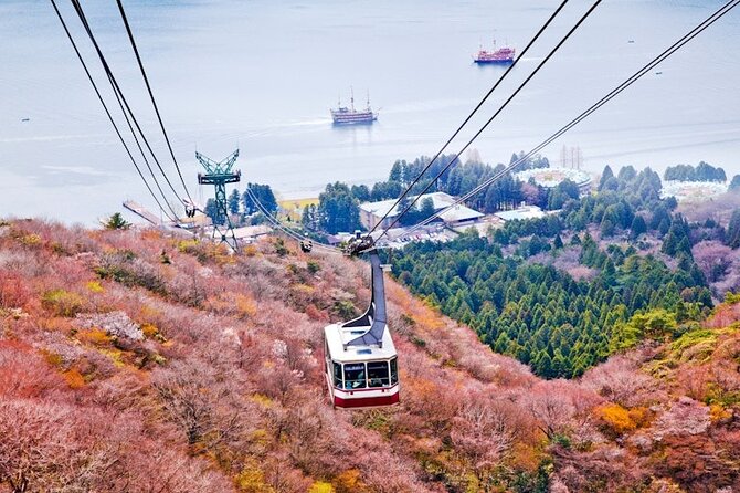 Hakone and Mt Fuji Private Custom Tour with English Guide - Saiko Lake and Kawaguchi Lake: Fuji Views by Reflection and Accessibility