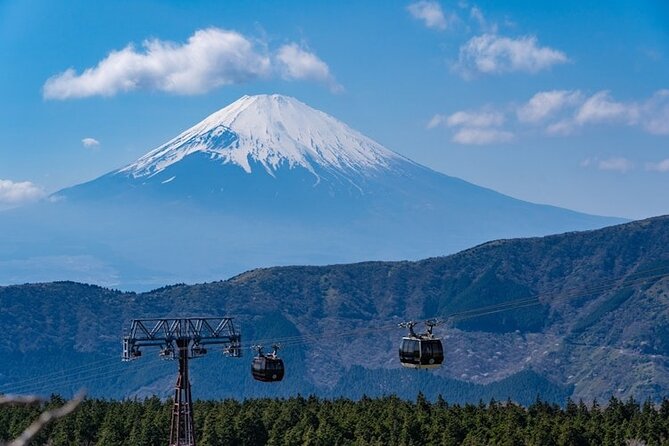 Hakone and Mt Fuji Private Custom Tour with English Guide - Arakura Fuji Sengen Shrine (Chureito Pagoda) and Kitaguchi Hongu Fuji Sengen Jinja
