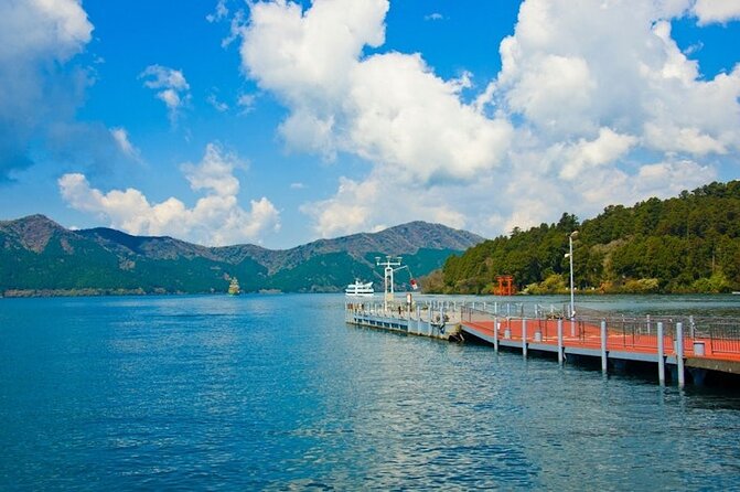 Hakone and Mt Fuji Private Custom Tour with English Guide - Owakudani Black Eggs and Hakone Ropeway: Volcano Fun Without the Hassle