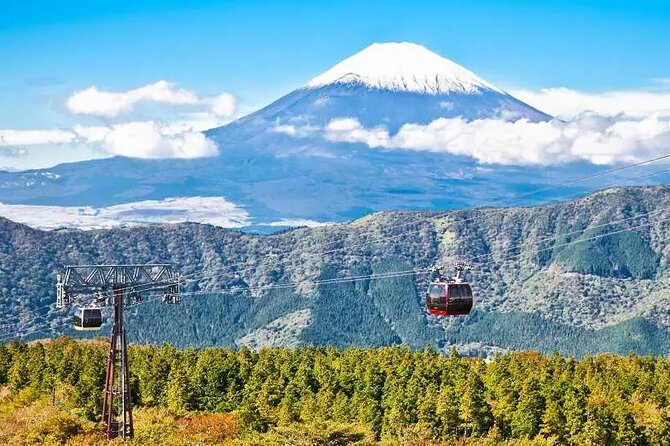 Hakone Free Pass, 2-3 Days Travel Voucher Japan - Crowds, queues, and the digital ticket reality check