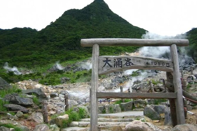 Hakone Free Pass, 2-3 Days Travel Voucher Japan - Extra costs like Romancecar and what to carry