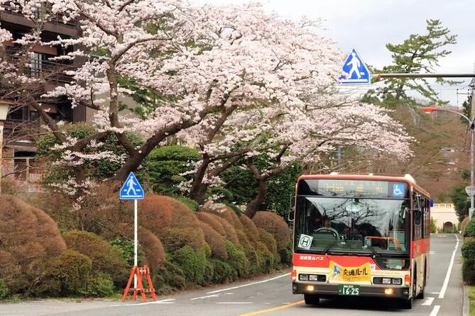 Hakone Free Pass, 2-3 Days Travel Voucher Japan - Who this pass suits best (and who should rethink it)
