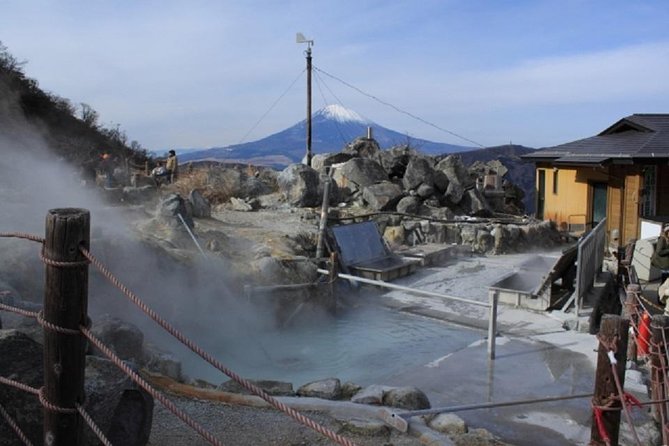 Hakone Full-Day Private Tour By Public Transportation - Stop 3: Owakudani Valley—sulfur smoke, volcanic activity, and free entry
