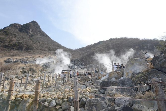 Hakone Full-Day Private Tour(Tokyo DEP.) with Government-Licensed Guide - Why a government-licensed English guide changes your whole Hakone day