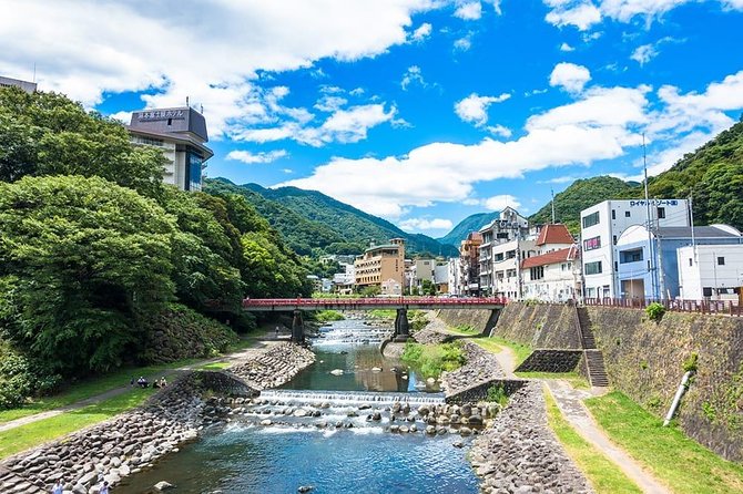 Hakone Full-Day Private Tour(Tokyo DEP.) with Government-Licensed Guide - Lake Ashinoko and Hakone Shrine: the Fuji-and-calm combo