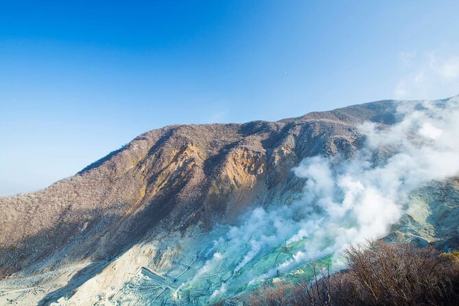 Hakone Private Customized Day Tour - A Hakone Day Trip That Lets You Set the Tone