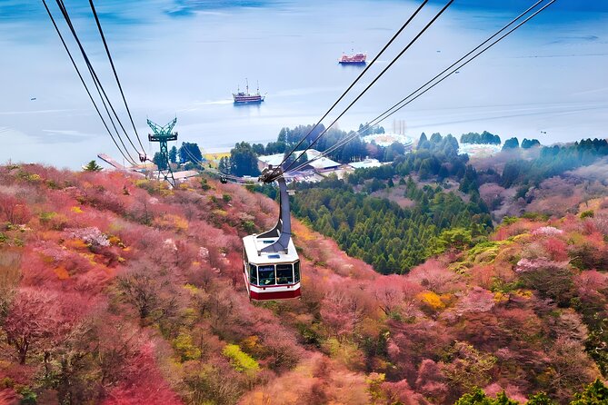 Hakone Private Customized Day Tour - Stop 4: The Hakone Pirate Ship Ride on Lake Ashi