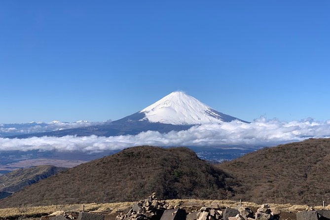 Hakone Private One Day Tour From Tokyo: Mt Fuji, Lake Ashi, Hakone National Park - Getting from Shinjuku to Hakone without turning it into a project