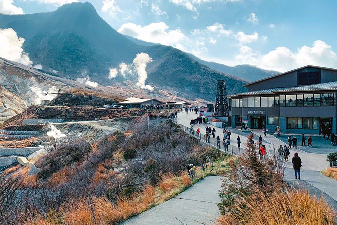 Hakone Private One Day Tour From Tokyo: Mt Fuji, Lake Ashi, Hakone National Park - Price and logistics: why $238.45 can make sense