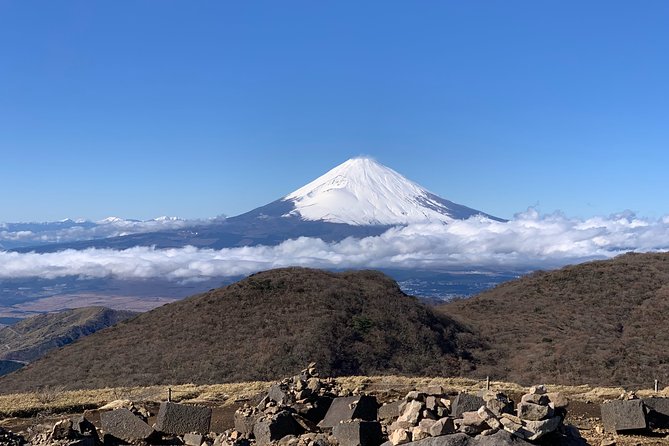 Hakone Private Two Day Tour from Tokyo with Overnight Stay in Ryokan - Price and Value: What You’re Really Paying For