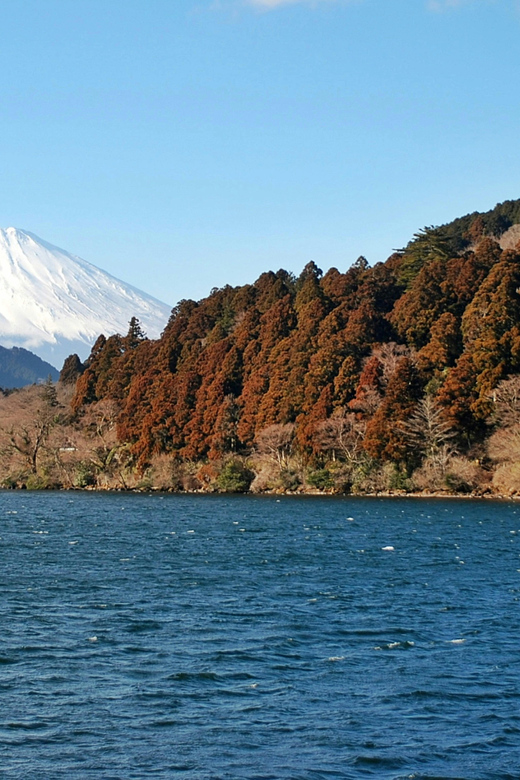 Hakone: Self Guided Trip to Mt. Fuji // Made by Local Guides - Old Tokaido Line Cobblestones: The Walk That Breaks Up Transit