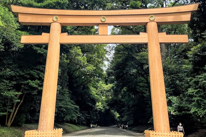 Half Day Sightseeing Tour in Tokyo - Best Seats, Best Pace, and How to Get More From the Tour