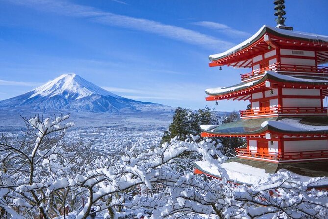 Haneda Airport: One Way Private Transfer to Tokyo|Yokohama Hotels - Landing at Haneda: Finding Your Driver Without Losing Your Mind