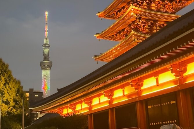 Haneda Airport Private Transfer – Luxury Car & Meet & Greet - The ride plan: pickup, drop-off, optional stopovers, and timing