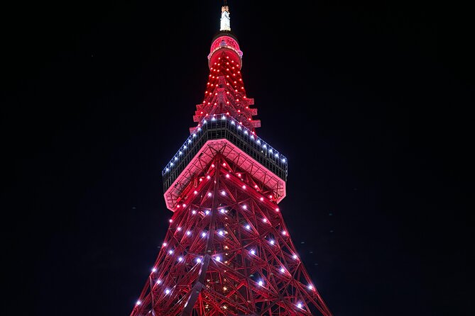 Haneda Airport Private Transfer – Luxury Car & Meet & Greet - Luggage delivery: the real value is less dragging