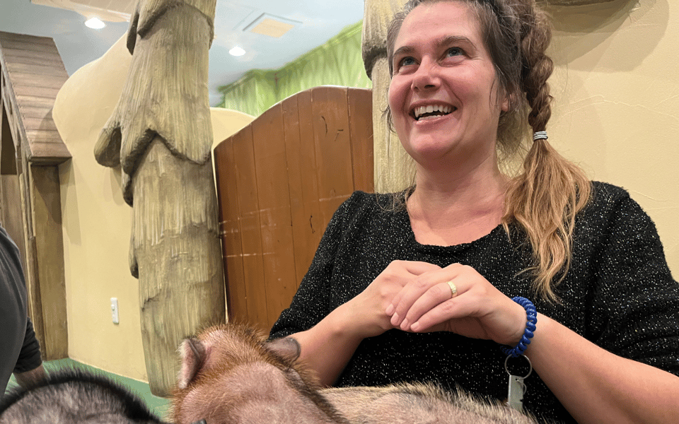 Harajuku : Blend of Tradition & Pop Culture for Family Tour - Animal Café and micro pigs: why it’s the family highlight