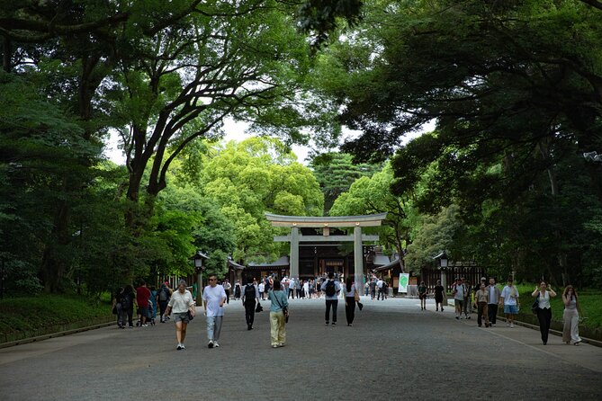 Harajuku Meiji Shrine Walking Tour in Tokyo - Price and value: is $25 worth it?