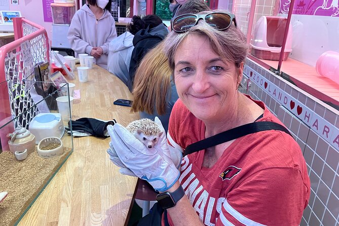 Harajuku Private Tour: Kawaii Fashion & Animal Cafe Included - Takeshita Street first: crowd energy, candy photos, and the art of not getting stuck