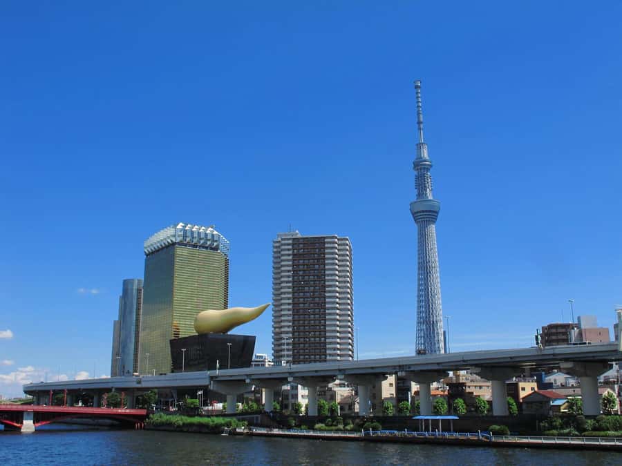 Highlights of Tokyo Private Tour with a Licensed Guide - Price and value: is $466 per group worth it?
