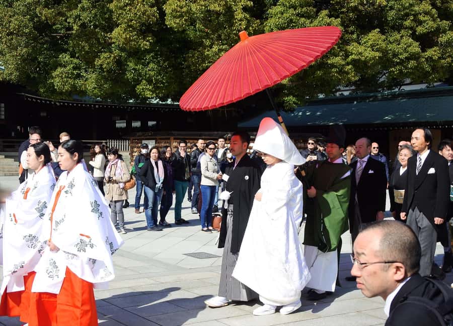 Highlights of Tokyo Private Tour with a Licensed Guide - Meiji Jingu Shrine: a calm break in the middle of the city