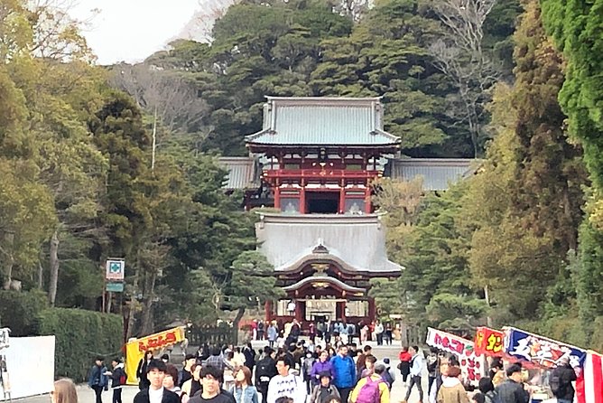 Historic Kamakura: Temples, Shrines and Street Food Private Walking Tour - Hokoku-ji bamboo grove: cool air, tea, and a reset button