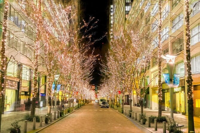 Holiday Lights Walk Tour Hibiya Midtown Tokyo Station Marunouchi - A 2.5-Hour Guided Christmas Circuit in Central Tokyo