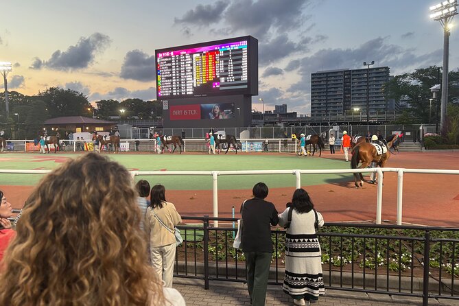 Horse Racing Tour with Local Fans in Tokyo, Oi Racecourse - Oi Racecourse: Where Tokyo’s Horse Racing Feels Like a Night Out