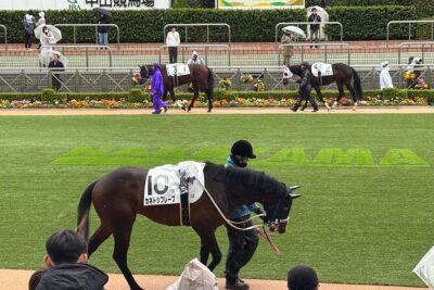 Horse Racing Tour with Local Fans in Tokyo, Oi Racecourse - The Food and Drinks Moment: Seats, Beer, and Japanese Flavors at the Track